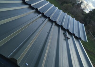 d1 roofing 12